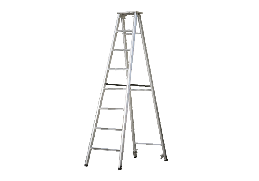 Grand Range of Aluminum Professional Ladders by House of Paras