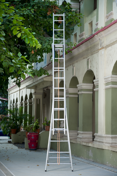 Professional Ladder Grand Extend House of Paras